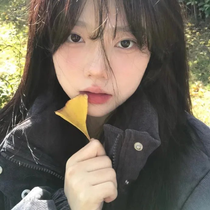 八九点钟的太阳
